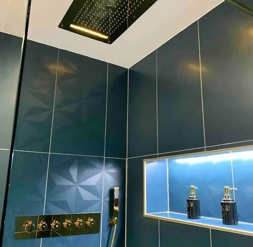 La Saphir - Privatif * Nancy